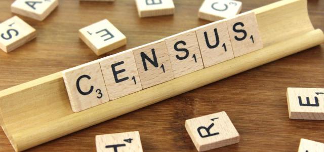 Census spelt out in scrabble tiles